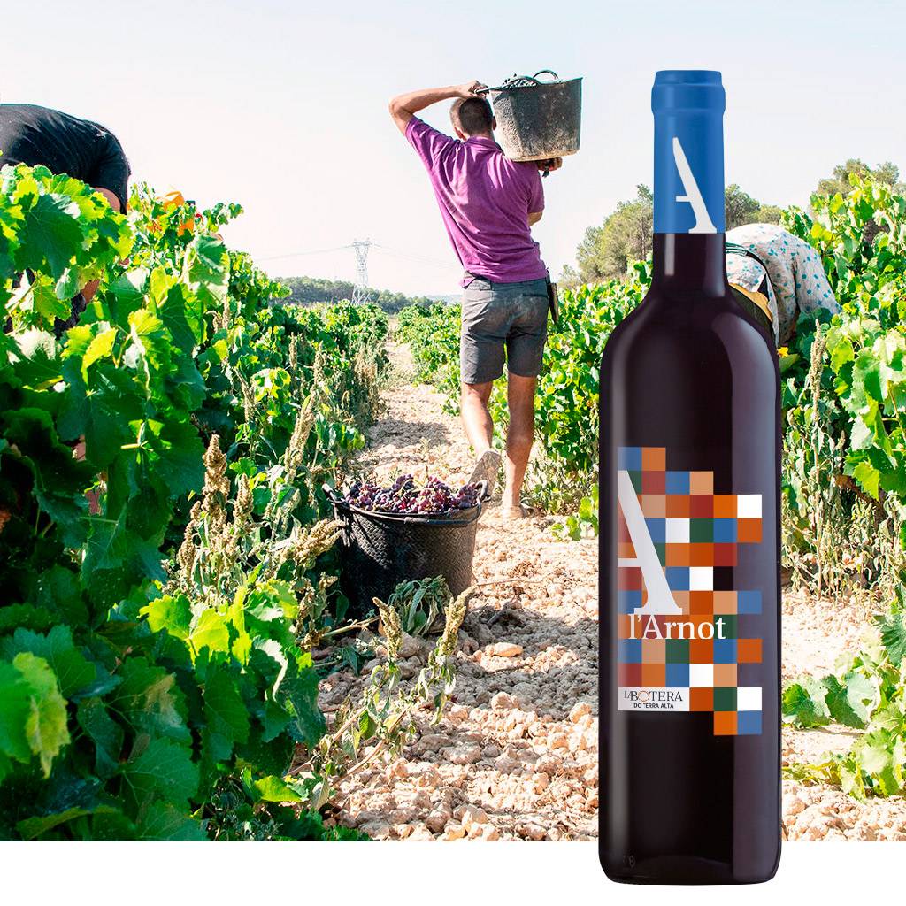 L'Arnot Red - Image 2