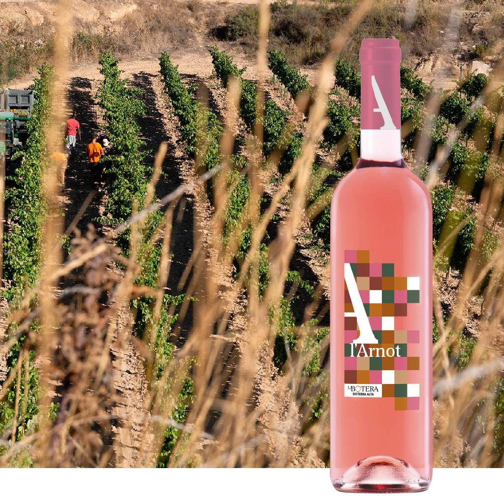 L'Arnot Rose - Image 2