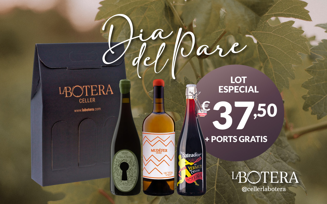 dia-del-pare-blog-ok