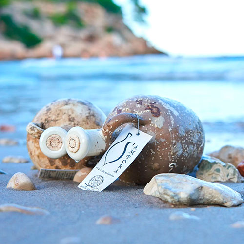 Lot S'àmfora + tast - Imatge 2