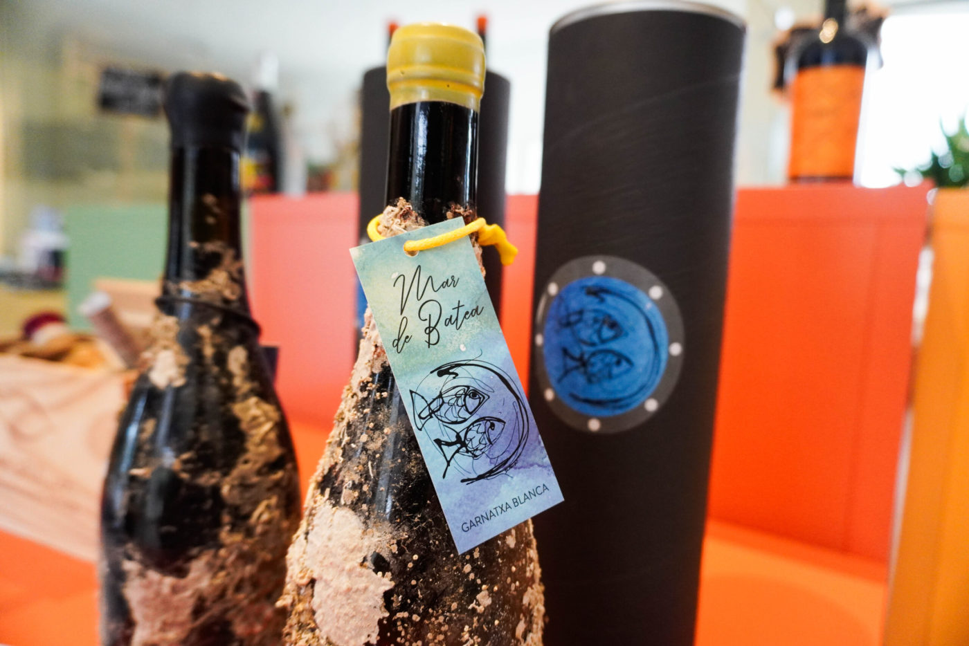 vi-de-batea-envellit-sota-el-mar-lceller-labotera-2