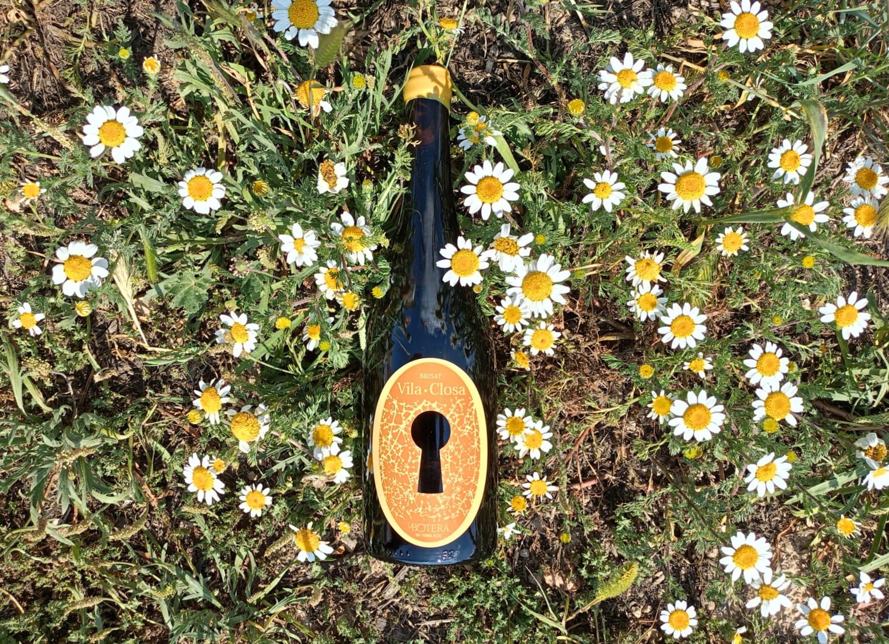 WhatsApp Image 2025-05-16 at 11.04.03